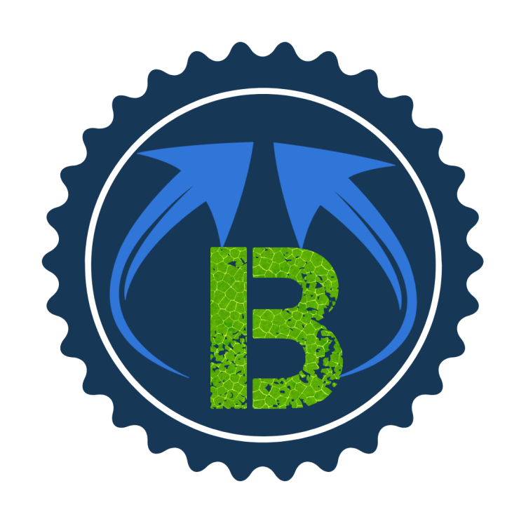BCD logo 2.png